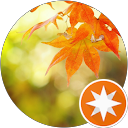 sword_g 70 profile picture